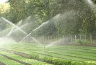 Box Hill Southlandscaping-water-management-and-drainage-17.jpg; ?>